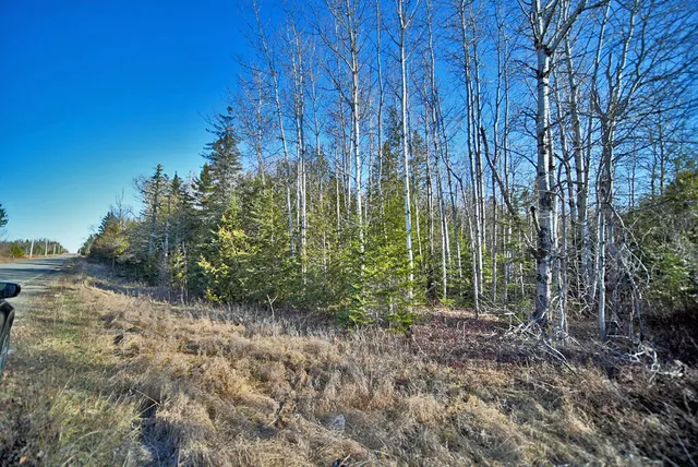 $39,500 | Lot 2-3 Us Rt 2a Road, Linneus, ME 04730