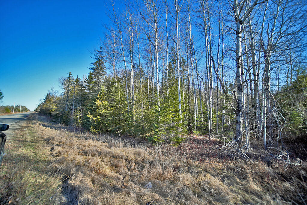 Lot 2-3 Us Rt 2a Road Linneus, ME 04730 - Photo 20 of 33 road-us-rt-2-a-linneus-me