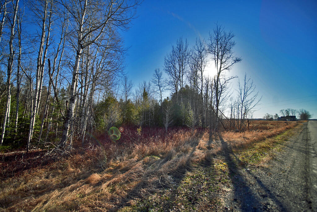 Lot 2-3 Us Rt 2a Road Linneus, ME 04730 - Photo 21 of 33 land-maine-aroostook-county
