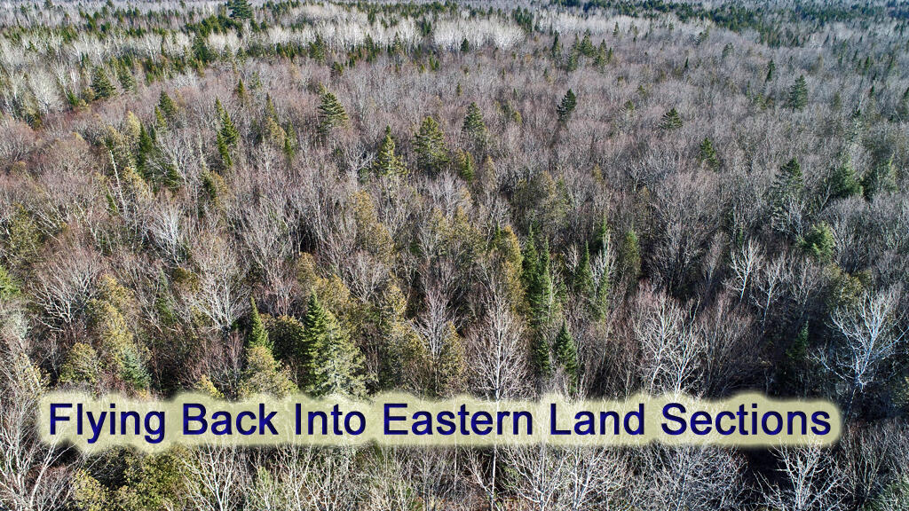 Lot 2-3 Us Rt 2a Road Linneus, ME 04730 - Photo 22 of 33 land-me-woodlot