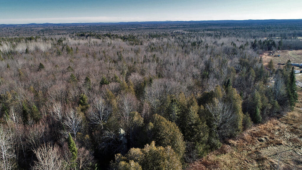 Lot 2-3 Us Rt 2a Road Linneus, ME 04730 - Photo 23 of 33 land-timber-northern-me