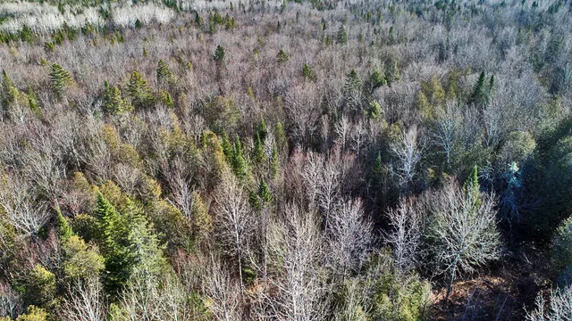 $39,500 | Lot 2-3 Us Rt 2a Road, Linneus, ME 04730