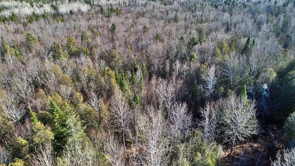 Lot 2-3 Us Rt 2a Road Linneus, ME 04730 - Photo 25 of 33 wooded-land-maine-linneus