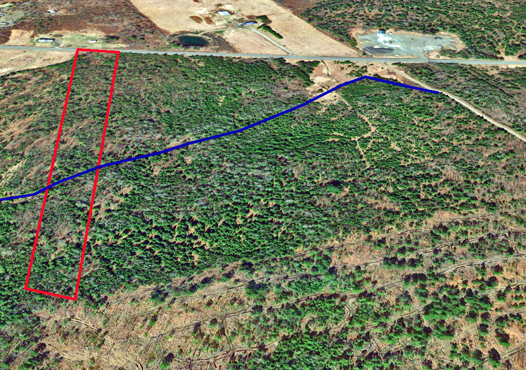 Lot 2-3 Us Rt 2a Road Linneus, ME 04730 - Photo 6 of 33 land-in-me-woods