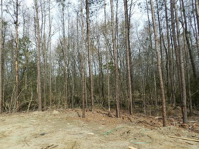 822 Lee Road Clayton, NC 27520 - Photo 7 of 7 Photo 7