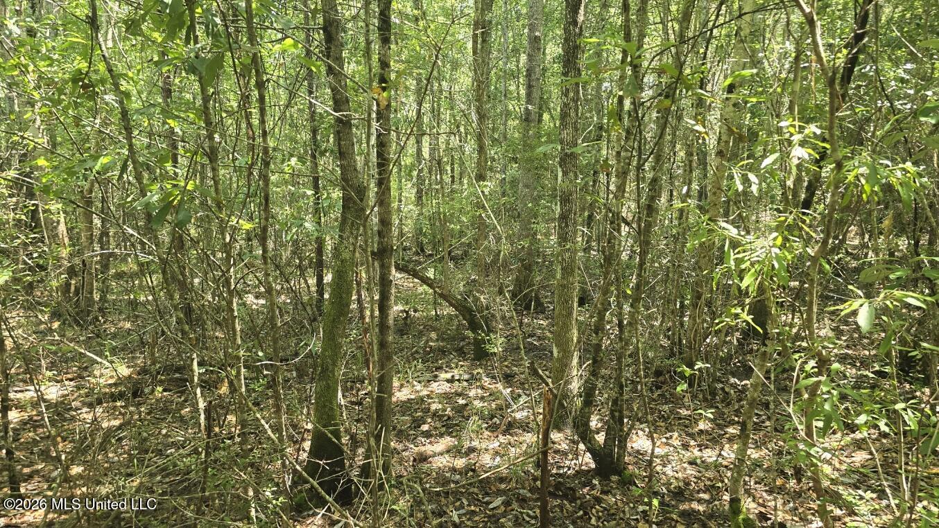 Addison Road State Line, MS 39362 - Photo 20 of 32 20260602_121304