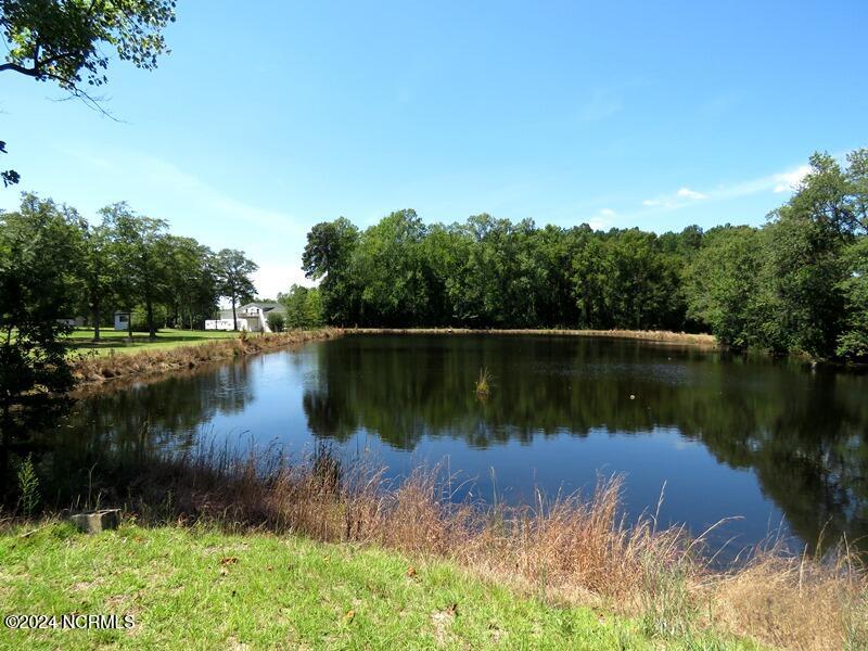 4512 Tobacco Road Orrum, NC 28369 - Photo 12 of 50 Gallery Image 12