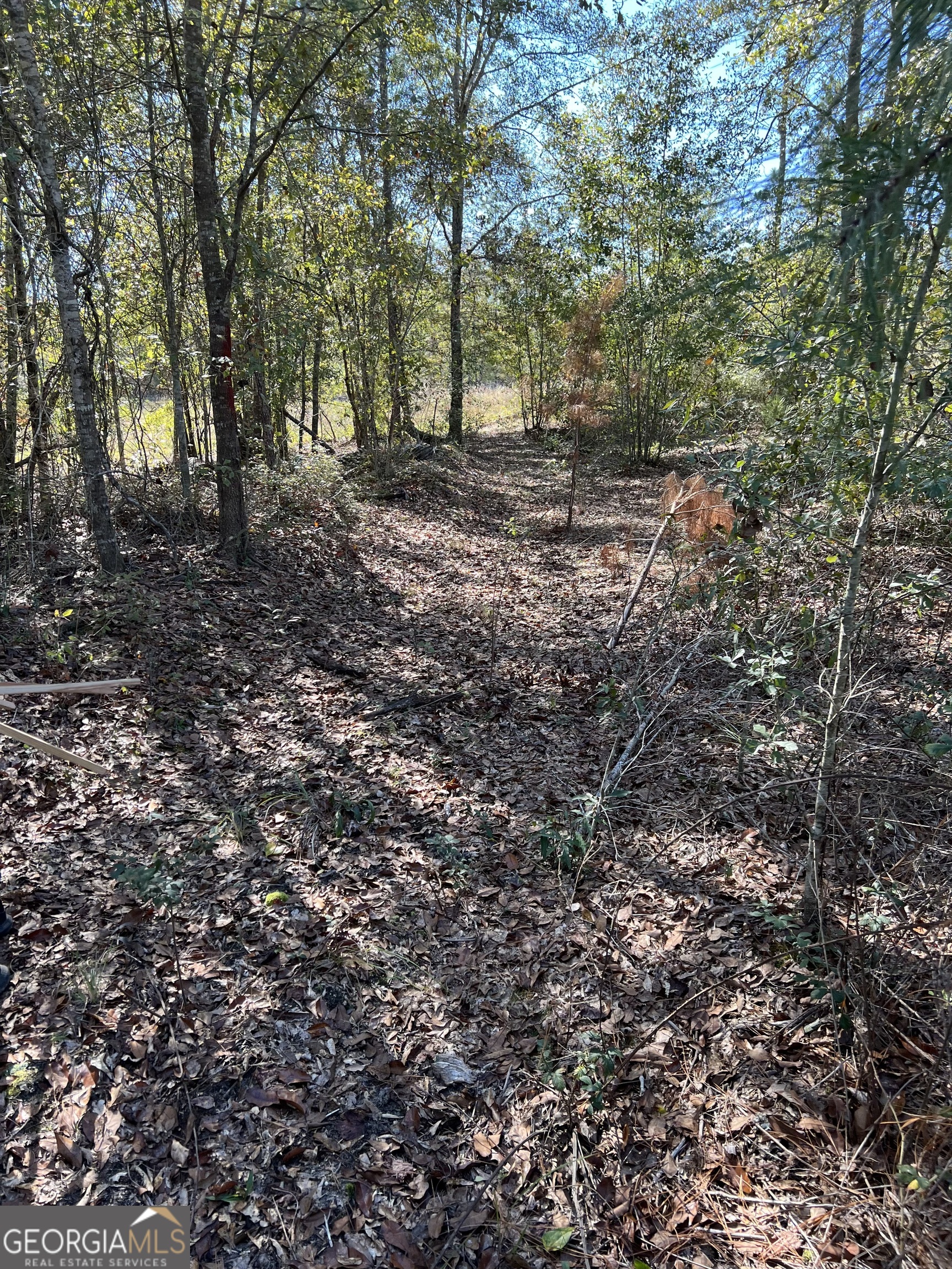 1432 Rozar-Goolsby Road Eastman, GA 31023 - Photo 5 of 6