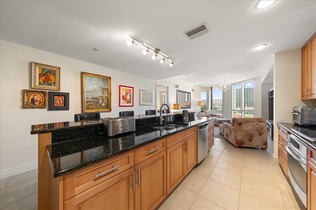 331 Cleveland Street, Unit 301 Clearwater, FL 33755 - Photo 10 of 39 a large kitchen with lots of counter space