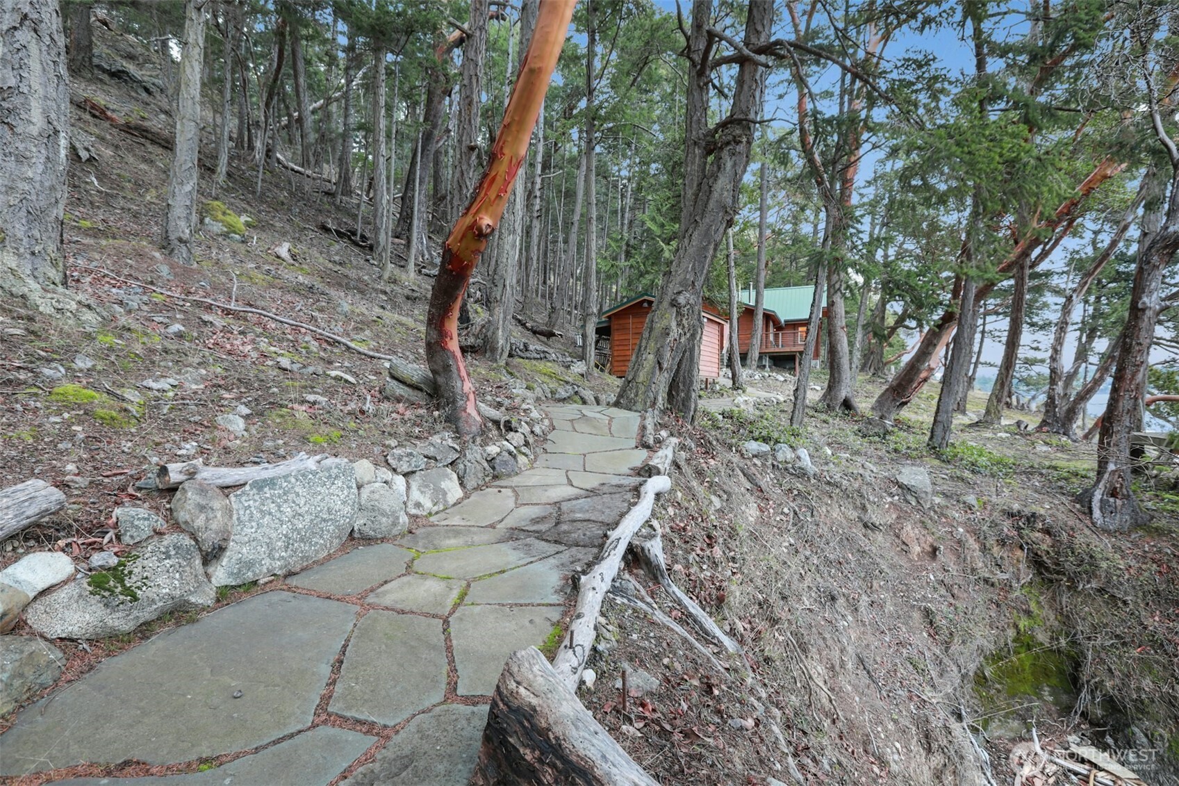 5 Smugglers Cove Road Friday Harbor, WA 98250 - Photo 31 of 36 a backyard of a house with lots of green space