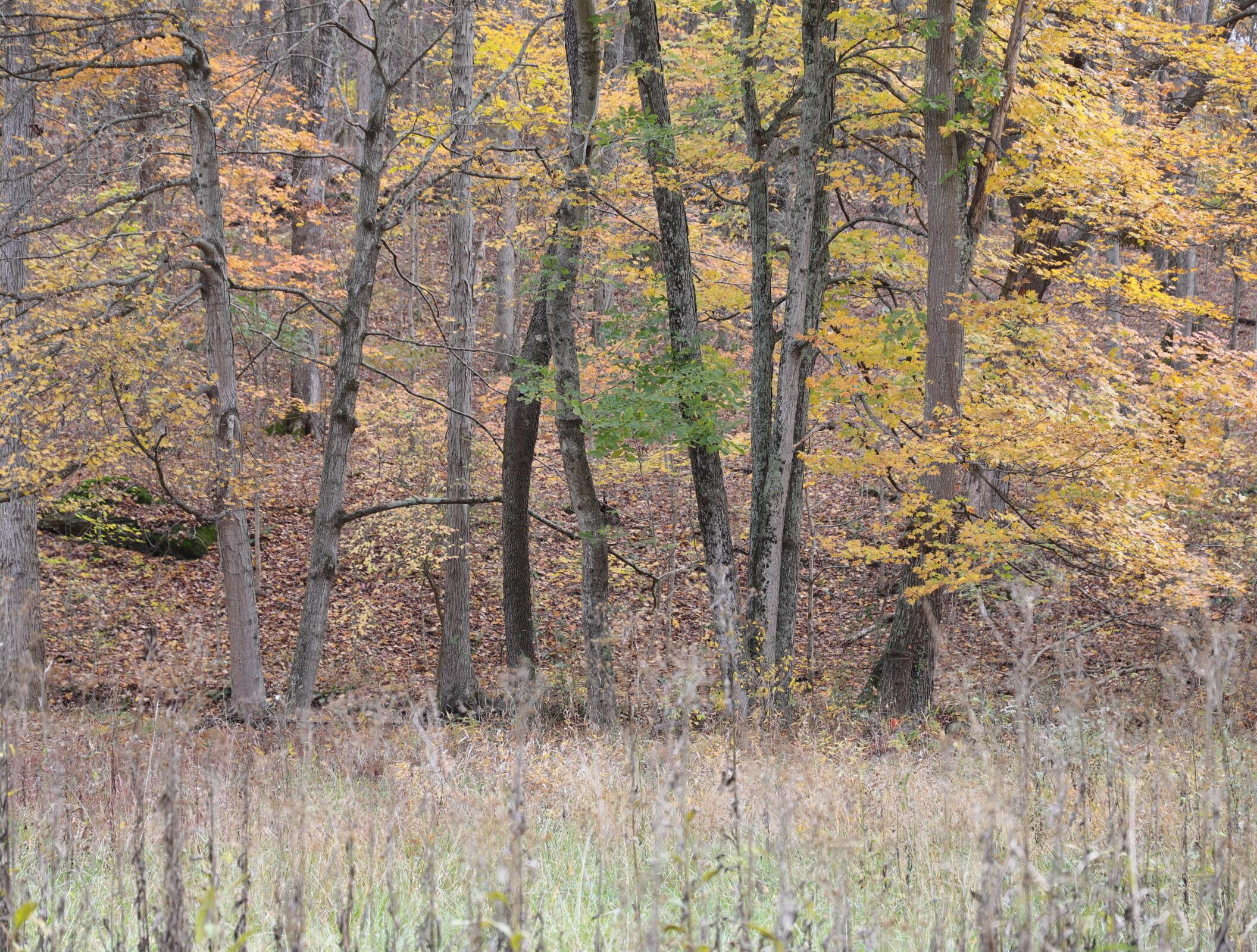 0 5 Points Road Jackson, OH 45640 - Photo 2 of 5 2. Five Points Rd