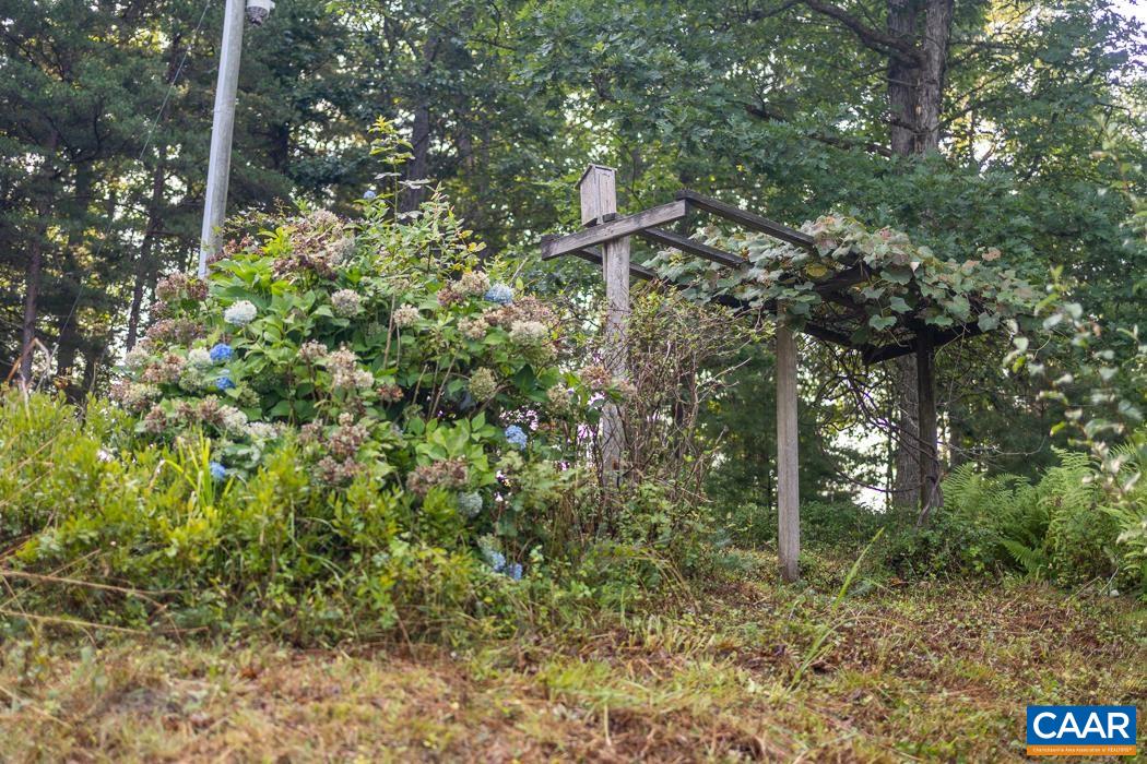 113 Plum Tree Draft Road Churchville, VA 24421 - Photo 38 of 43 a backyard of a house with lots of plants and large trees