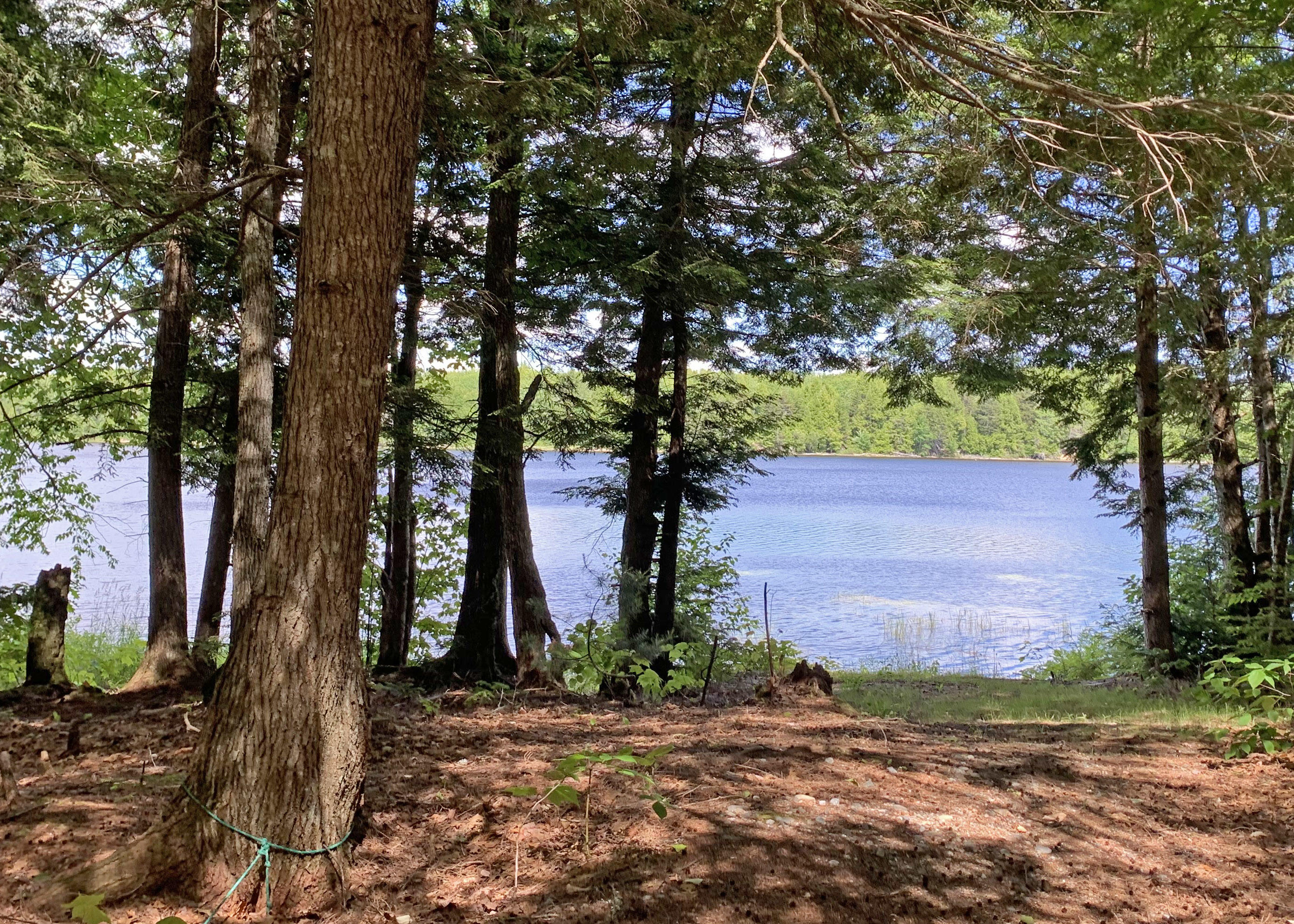 189 Frost Mill Road Ellsworth, ME 04605 - Photo 4 of 28 1d