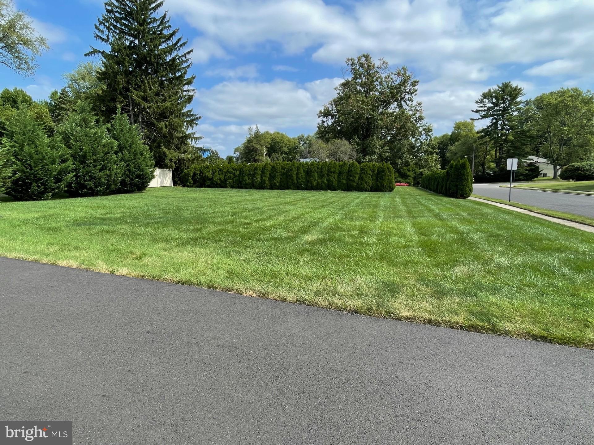 399 Lawrence Road Huntingdon Valley, PA 19006 - Photo 21 of 71 Land opposite driveway