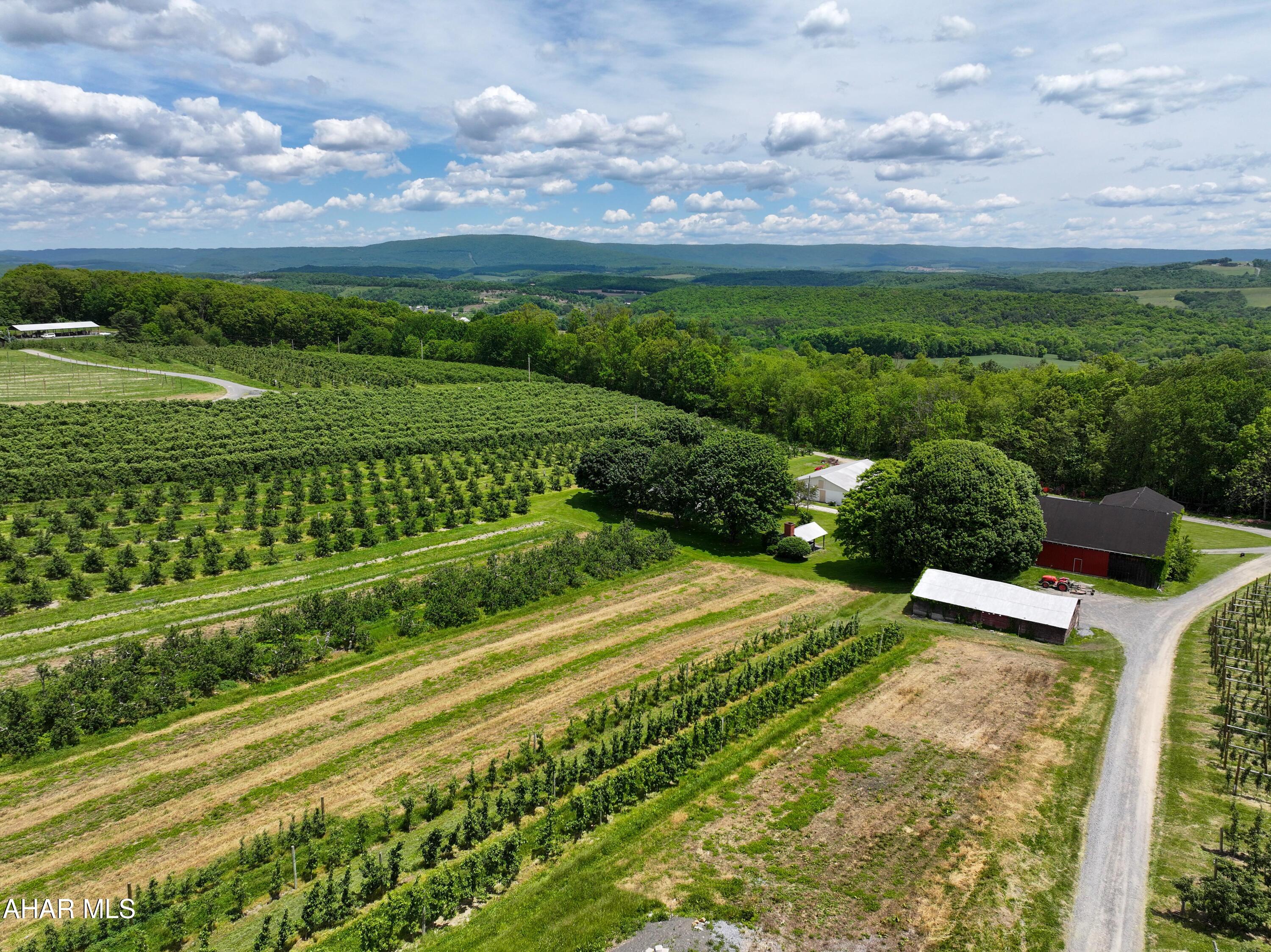 545 Orchard Road Schellsburg, PA 15559 - Photo 47 of 56