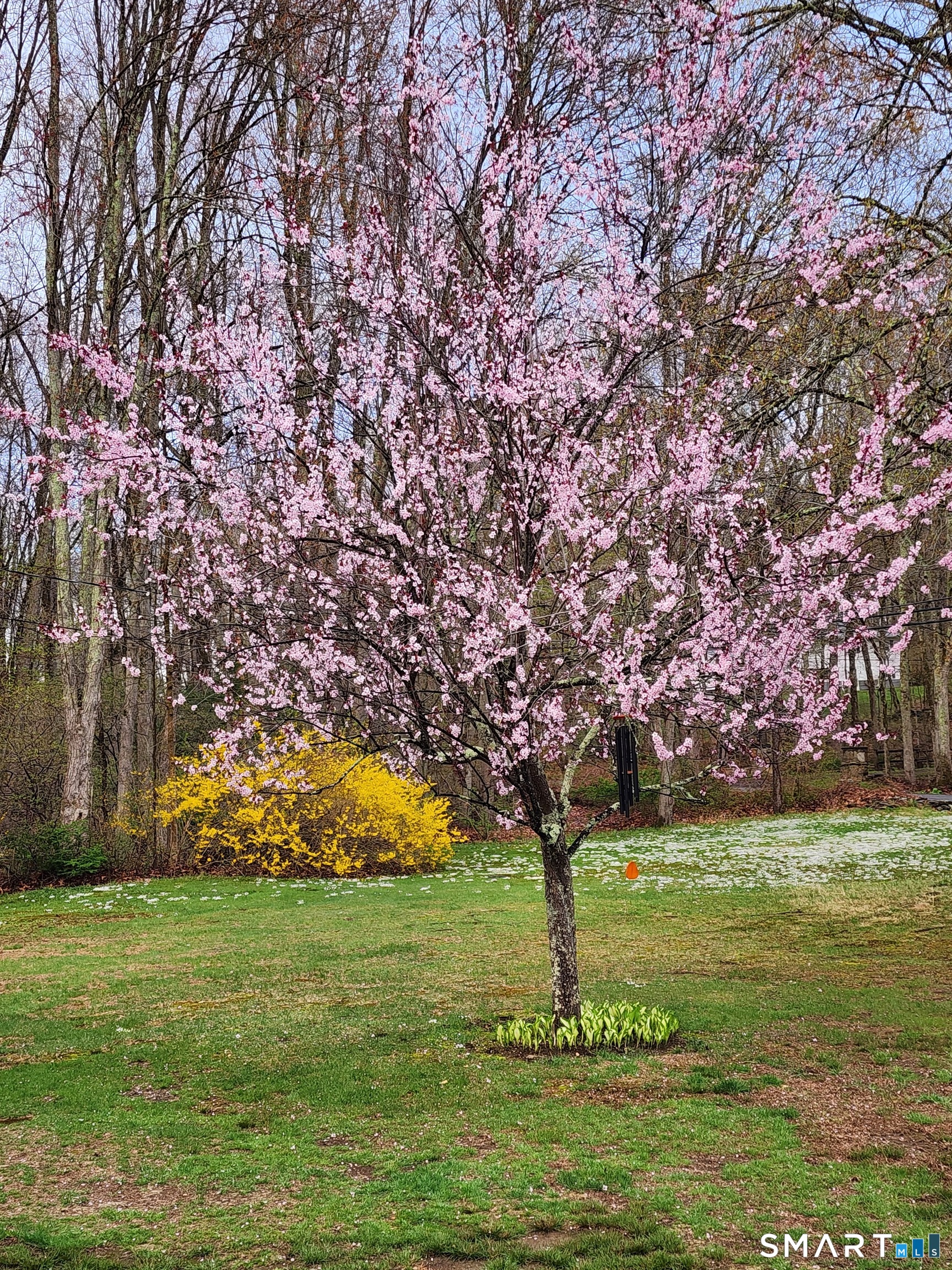 312 Gehring Road Tolland, CT 06084 - Photo 4 of 29