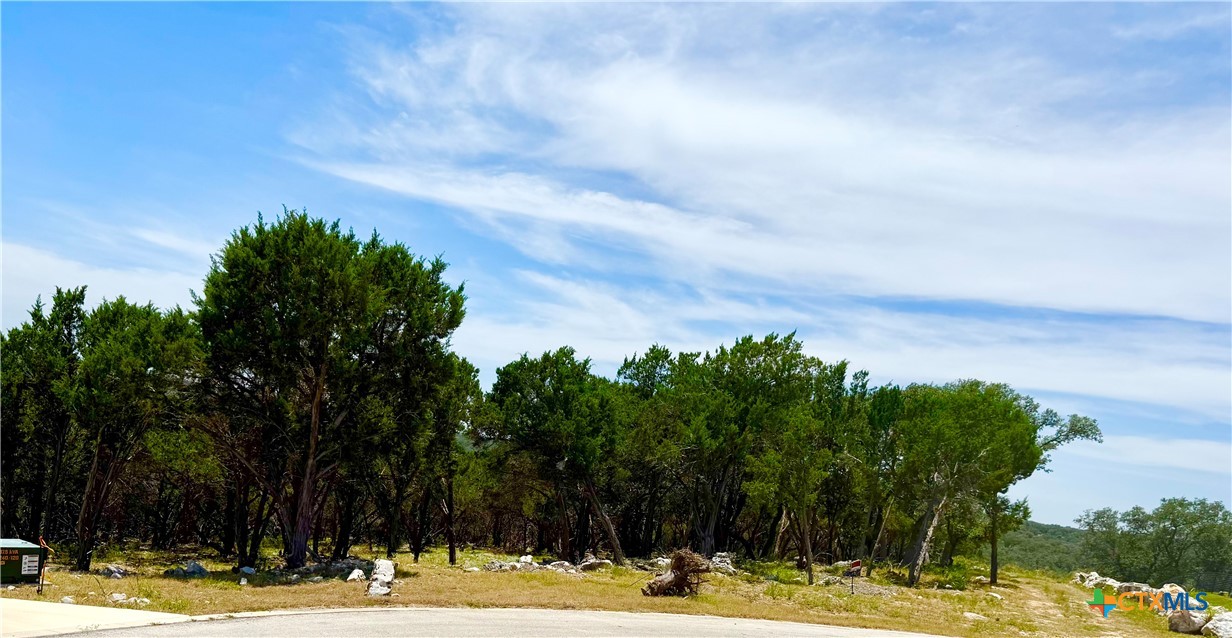 5663 Basilone Ridge New Braunfels, TX 78132 - Photo 2 of 7 a view of a swimming pool with an outdoor space and seating area