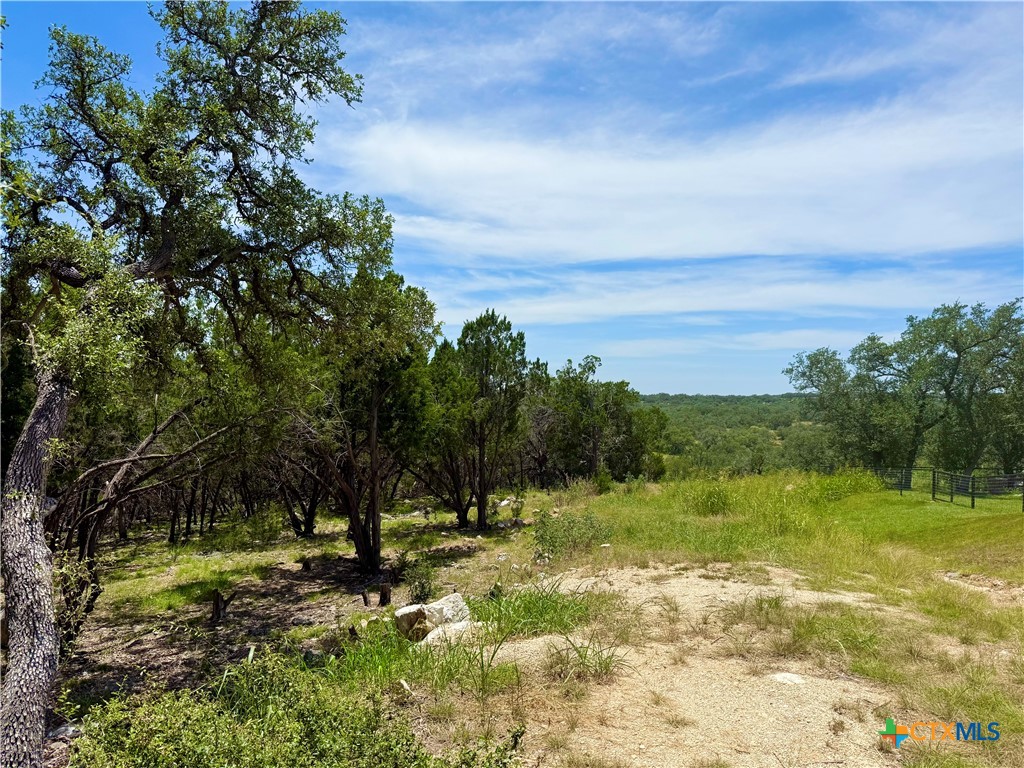 5663 Basilone Ridge New Braunfels, TX 78132 - Photo 3 of 7 a view of a field with a tree in the background