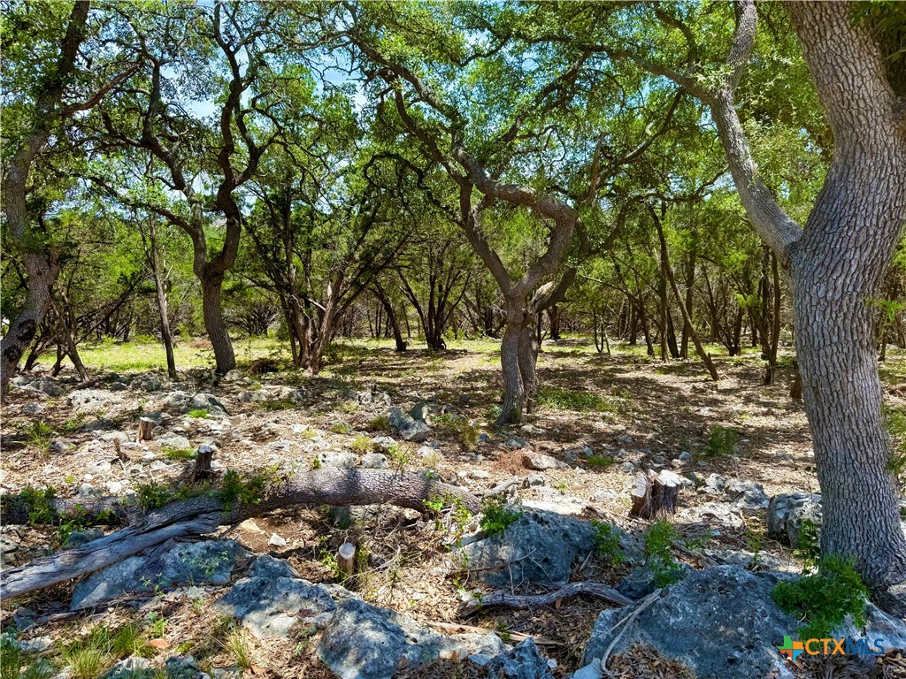5663 Basilone Ridge New Braunfels, TX 78132 - Photo 4 of 7 a view of outdoor space with trees