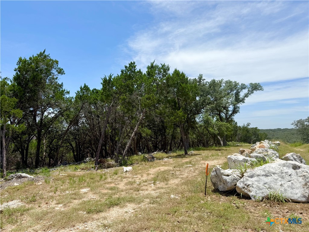 5663 Basilone Ridge New Braunfels, TX 78132 - Photo 5 of 7 a view of swimming pool with a yard