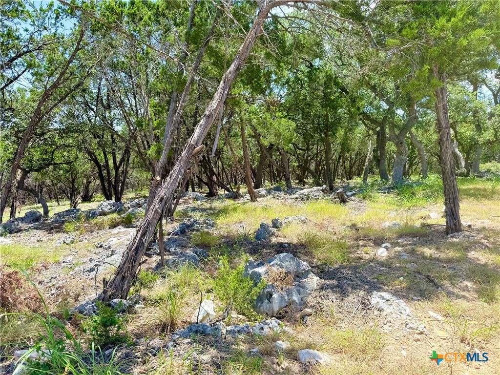 5663 Basilone Ridge New Braunfels, TX 78132 - Photo 6 of 7 a view of a yard with trees