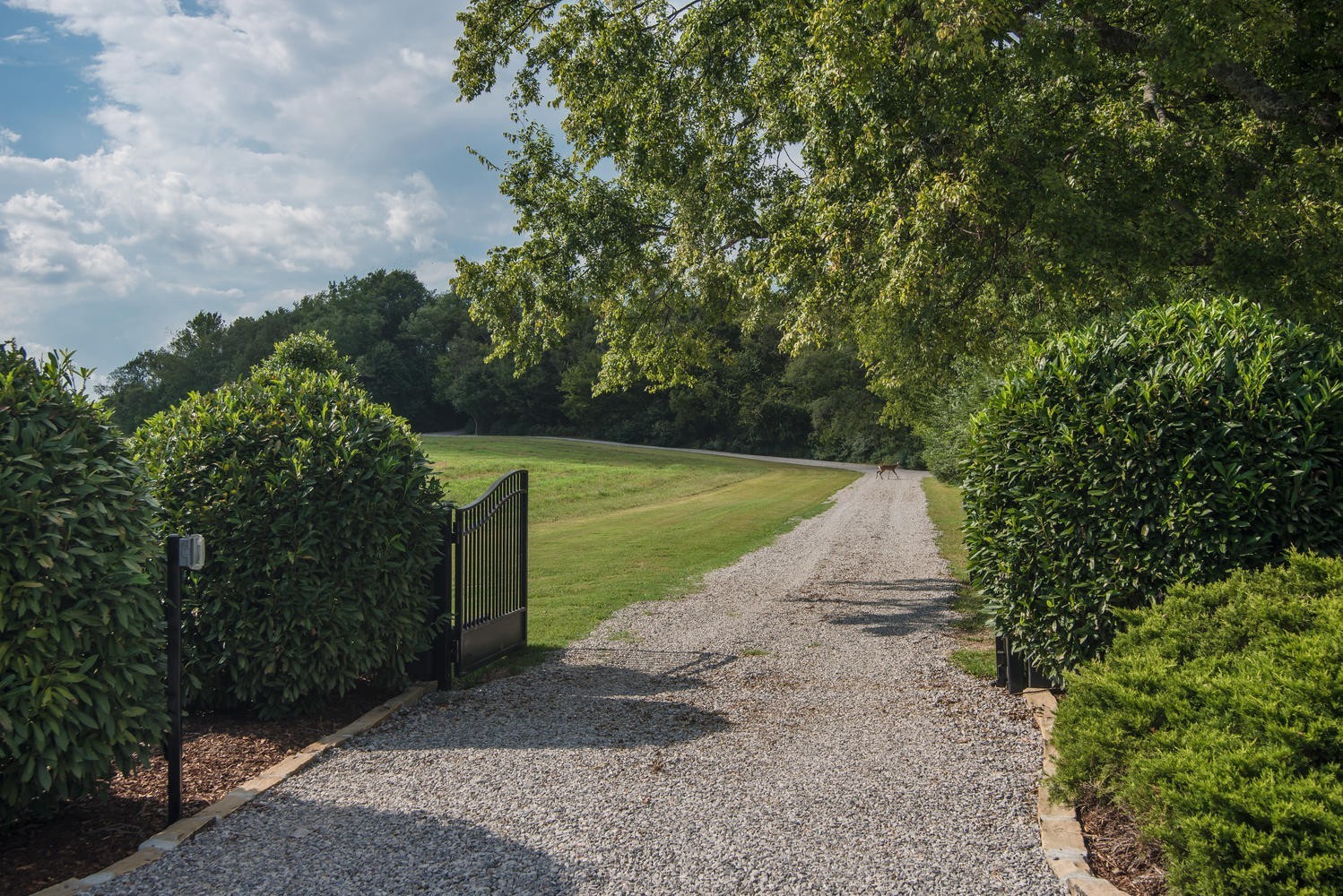 1091 Tulloss Road Franklin, TN 37067 - Photo 2 of 52