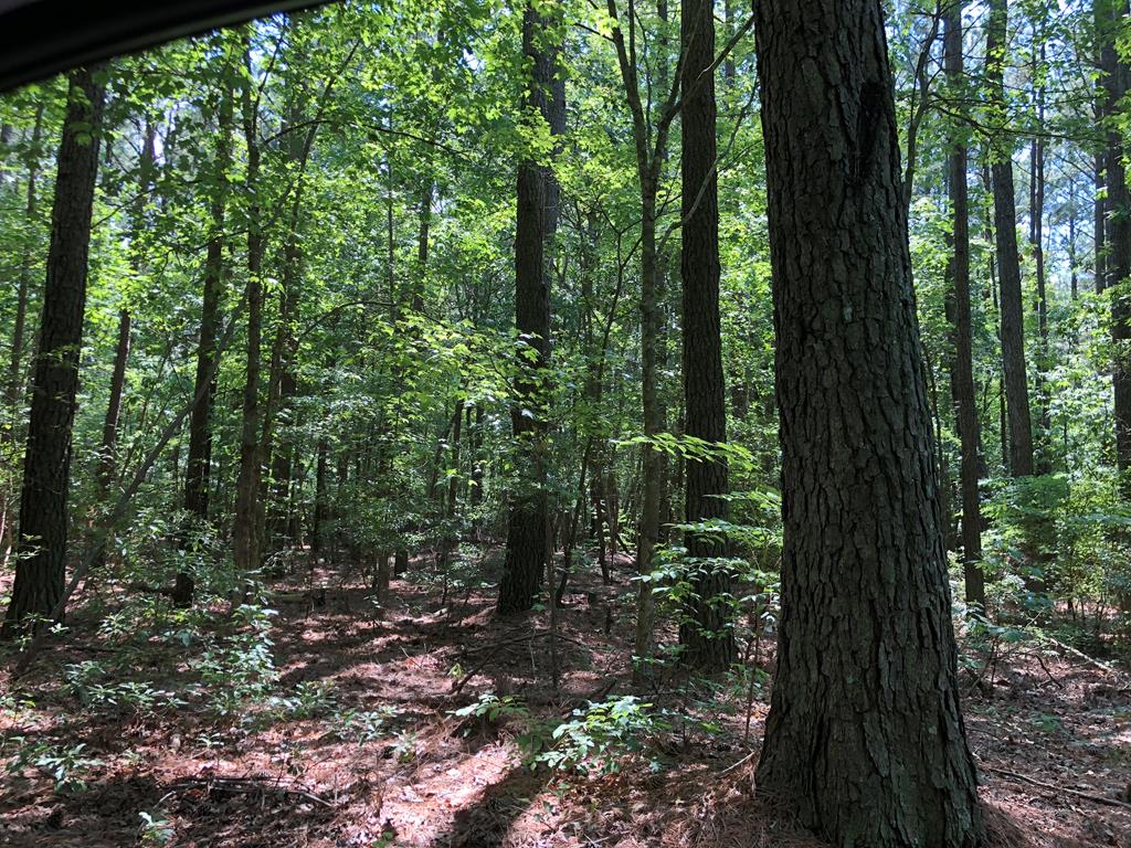 3 Race Track Road, Unit 3 Melfa, VA 23410 - Photo 2 of 3