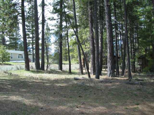 121 Calpine Avenue Calpine, CA 96124 - Photo 6 of 9 Gallery Image 6
