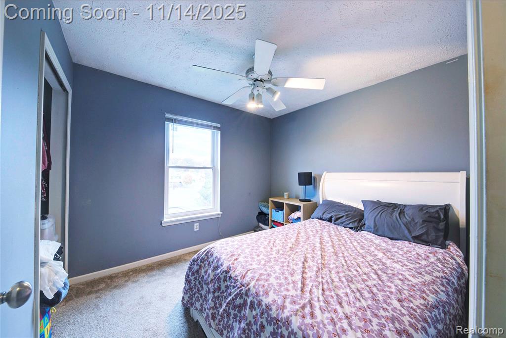 117 Turtle Trace Pinckney, MI 48169 - Photo 16 of 23 Gallery Image 16