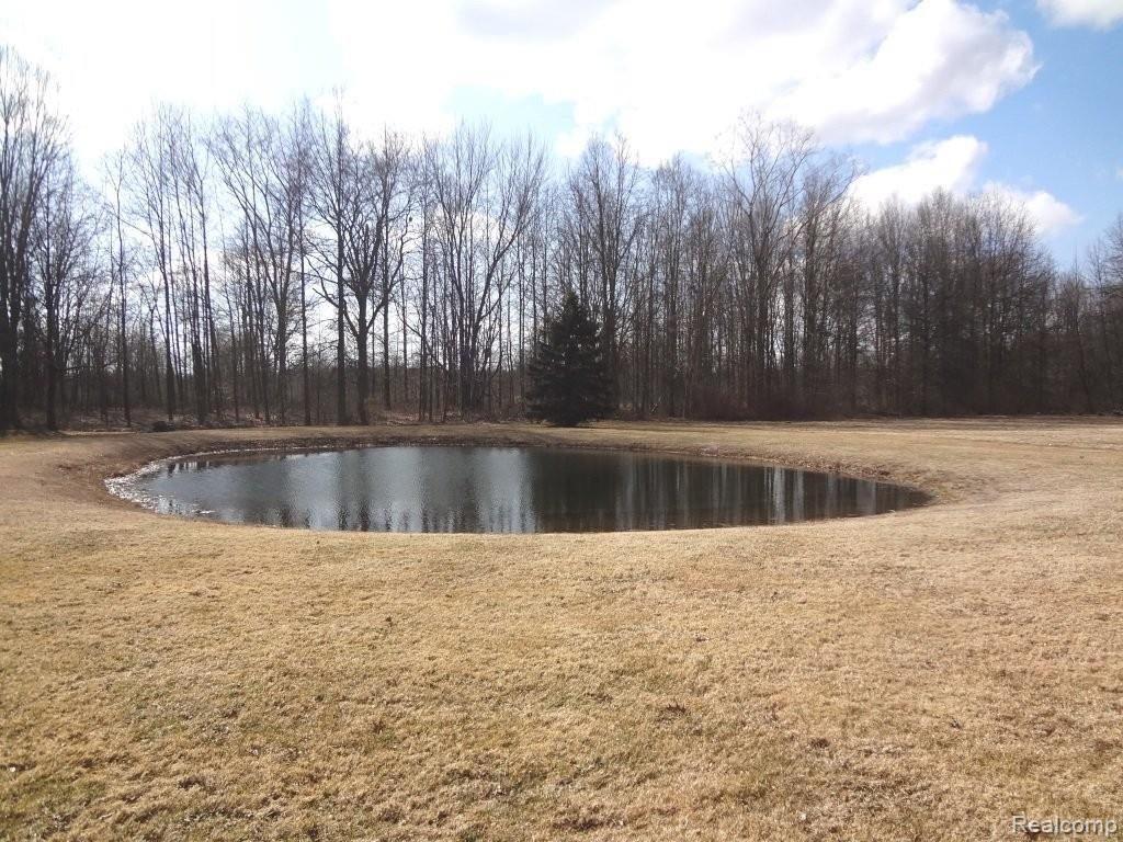 6880 Church Road Fair Haven, MI 48023 - Photo 14 of 15 Pond.JPG