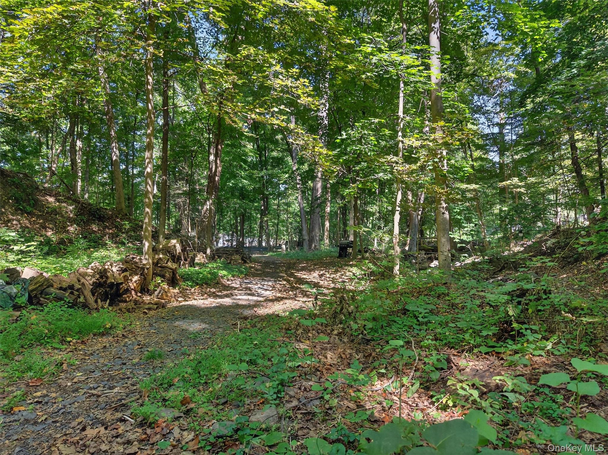 331 Mountain Lodge Road Blooming Grove, NY 10950 - Photo 23 of 50 View of woods