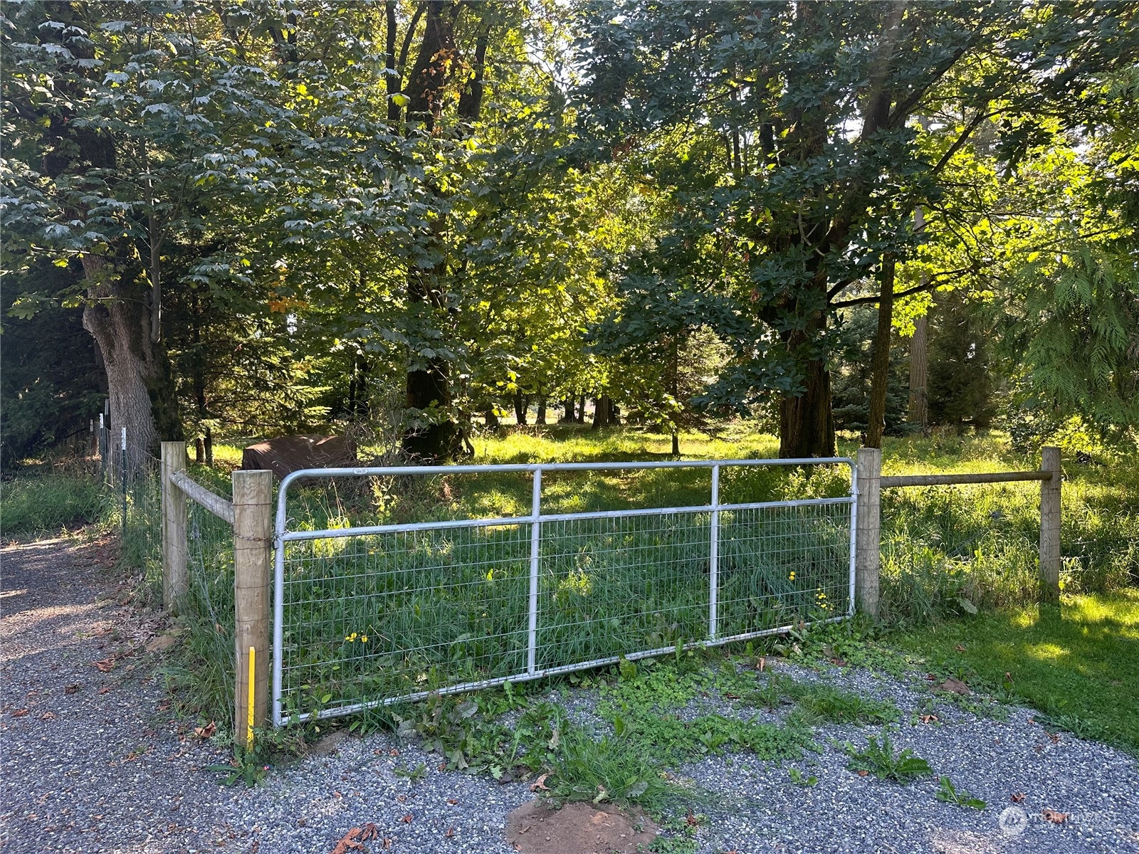 933 Van Dyk Road Lynden, WA 98264 - Photo 4 of 10 a view of a park