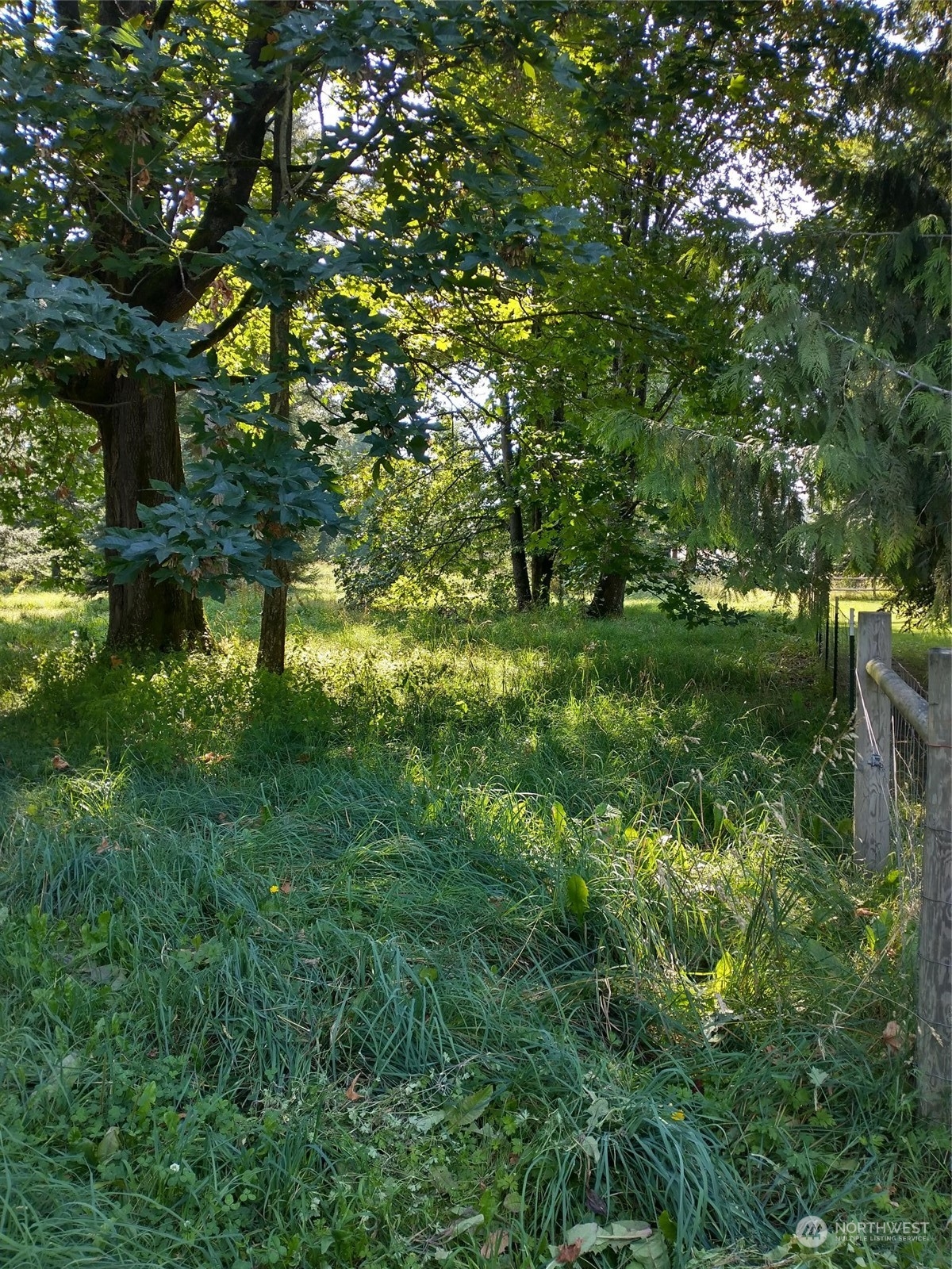 933 Van Dyk Road Lynden, WA 98264 - Photo 5 of 10 a view of a lush green space