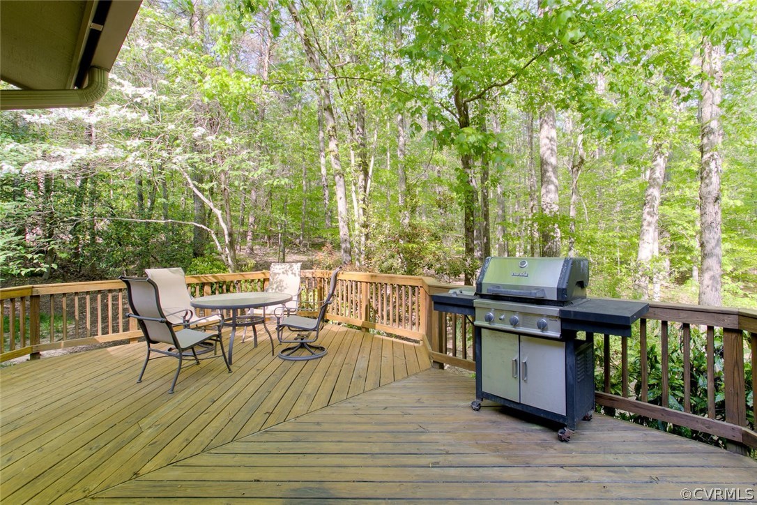 2440 Log Cabin Road Maidens, VA 23102 - Photo 39 of 50 Gallery Image 39