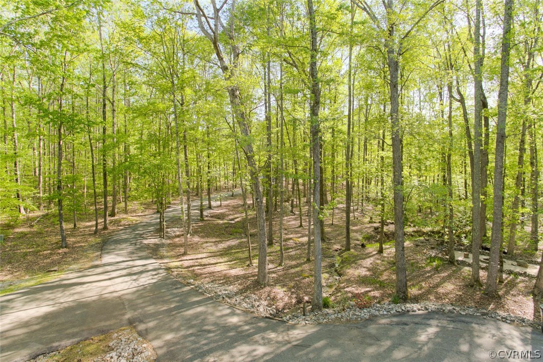 2440 Log Cabin Road Maidens, VA 23102 - Photo 49 of 50 Gallery Image 49