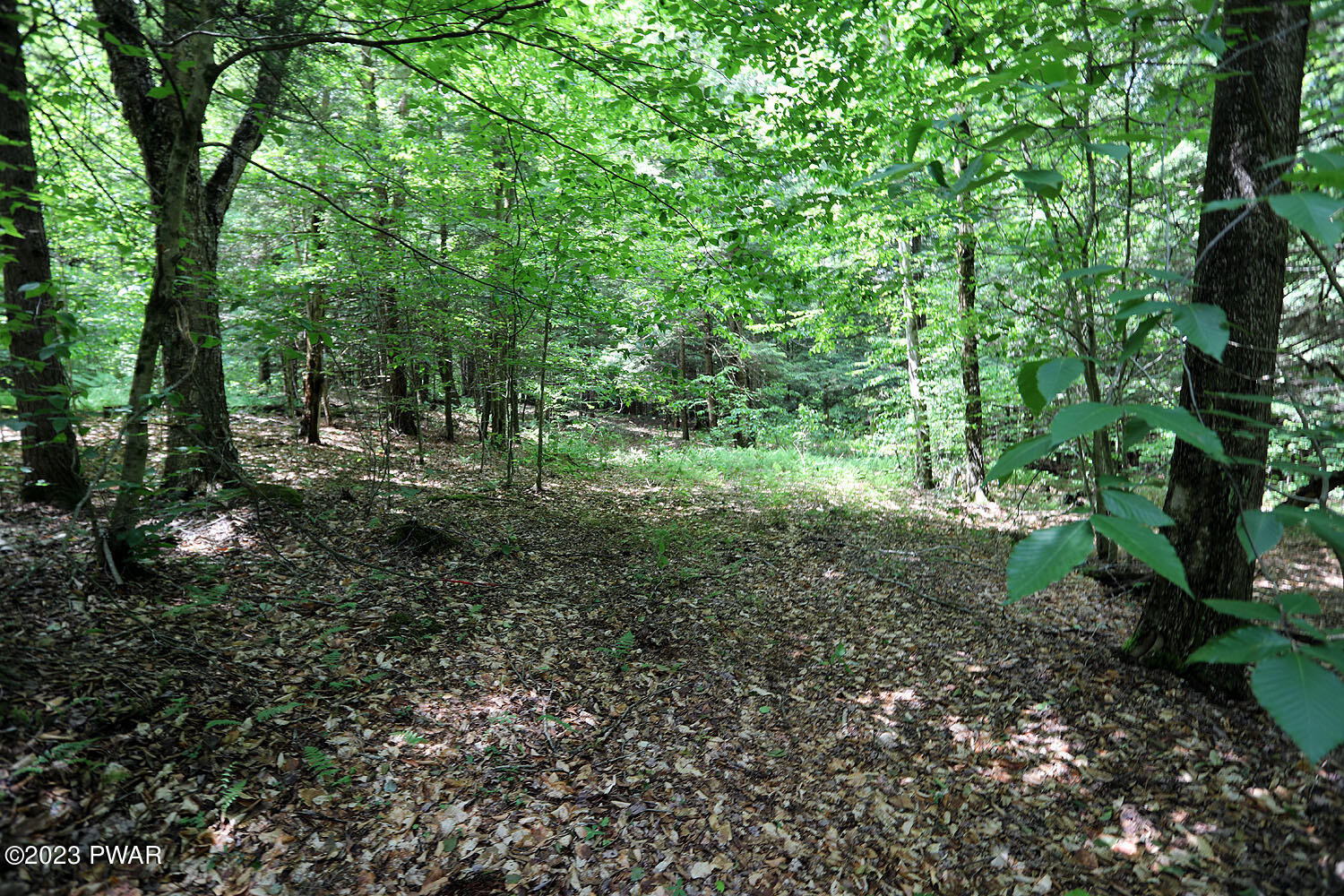 Lot D Spry Road Honesdale, PA 18431 - Photo 10 of 26