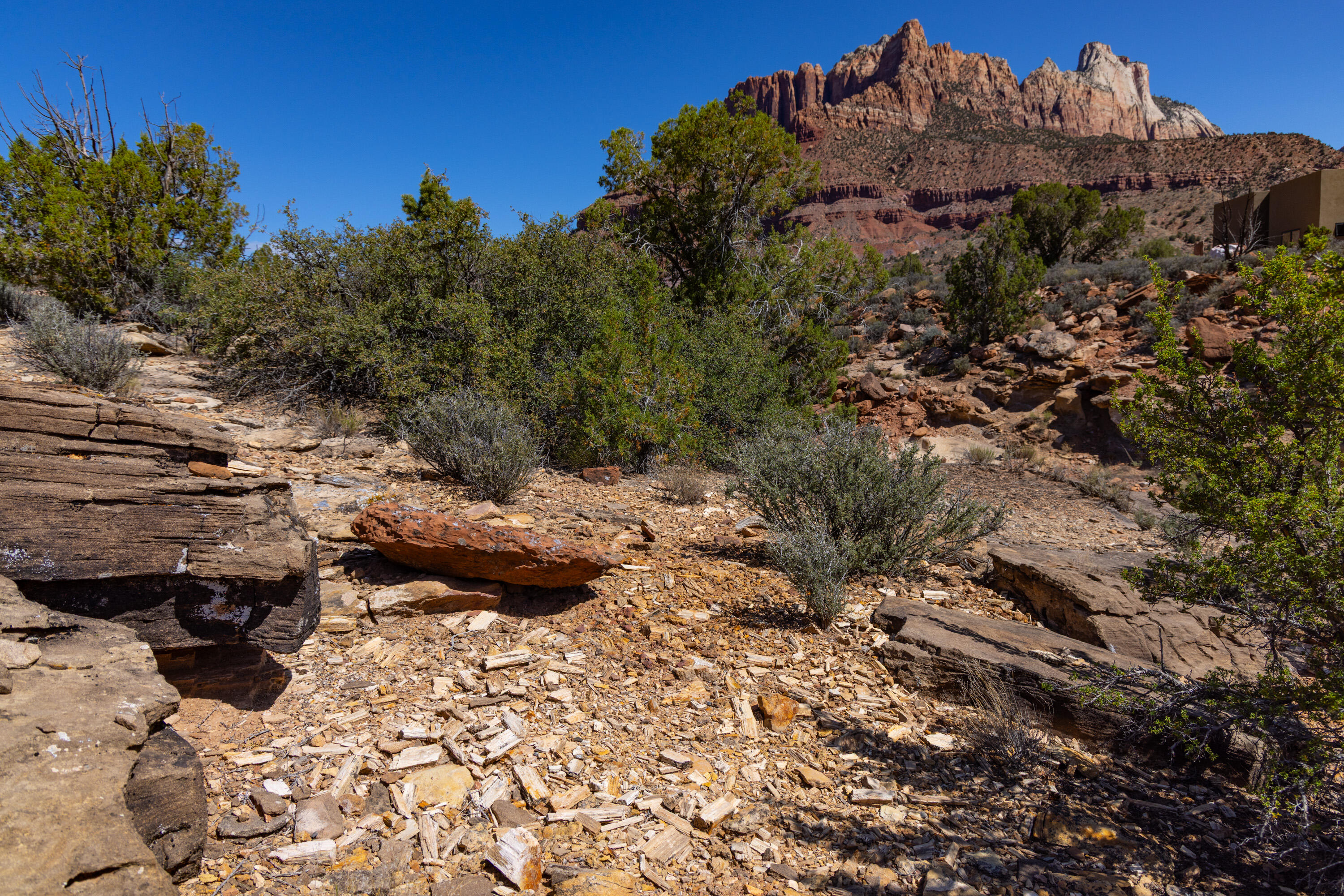 2495 Navajo Circle, Unit 69 Springdale, UT 84767 - Photo 27 of 44 25-Anasazi Plateau lot 69