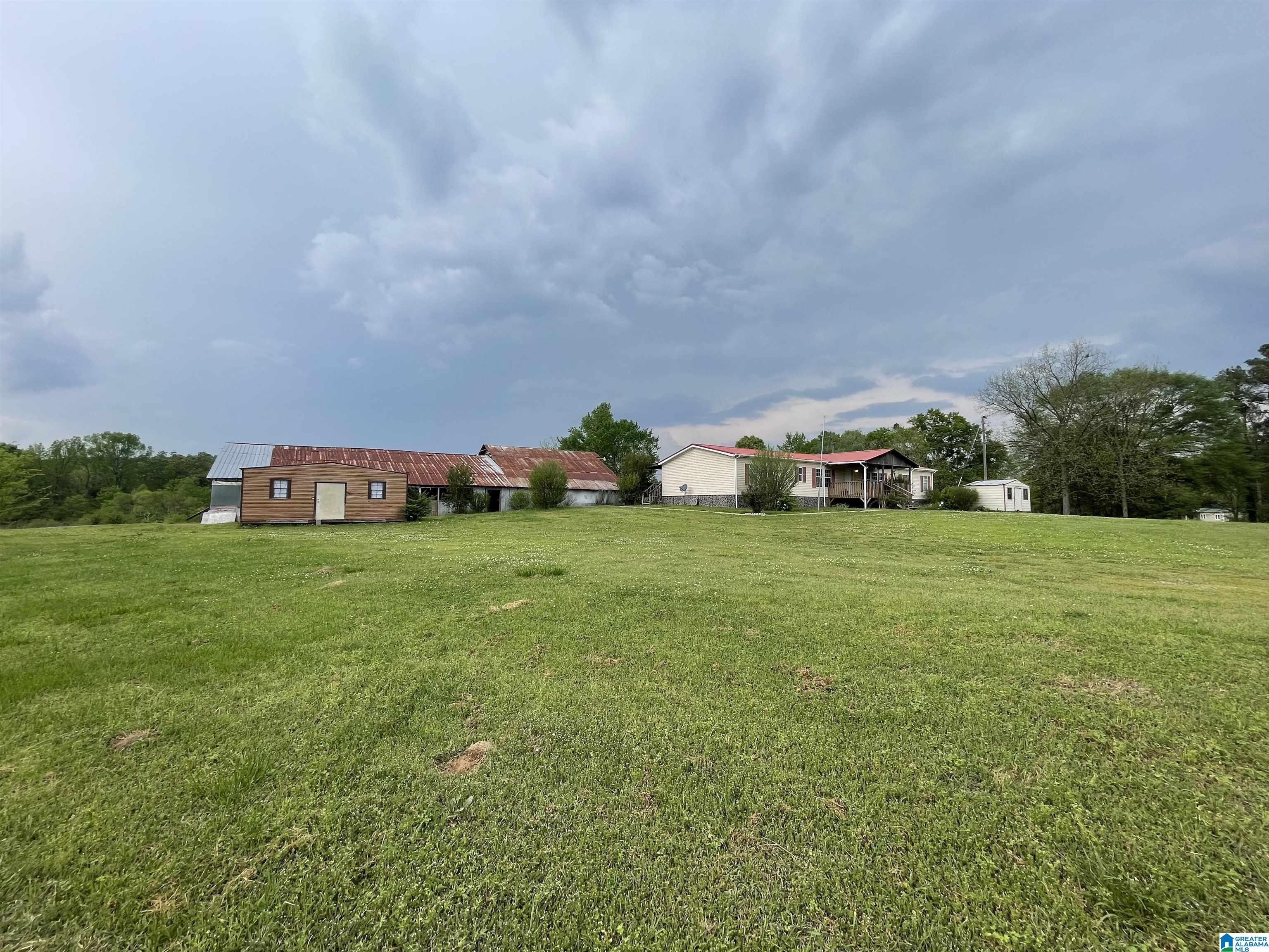 1779 Ray Wyatt Road Ashville, AL 35953 - Photo 35 of 40