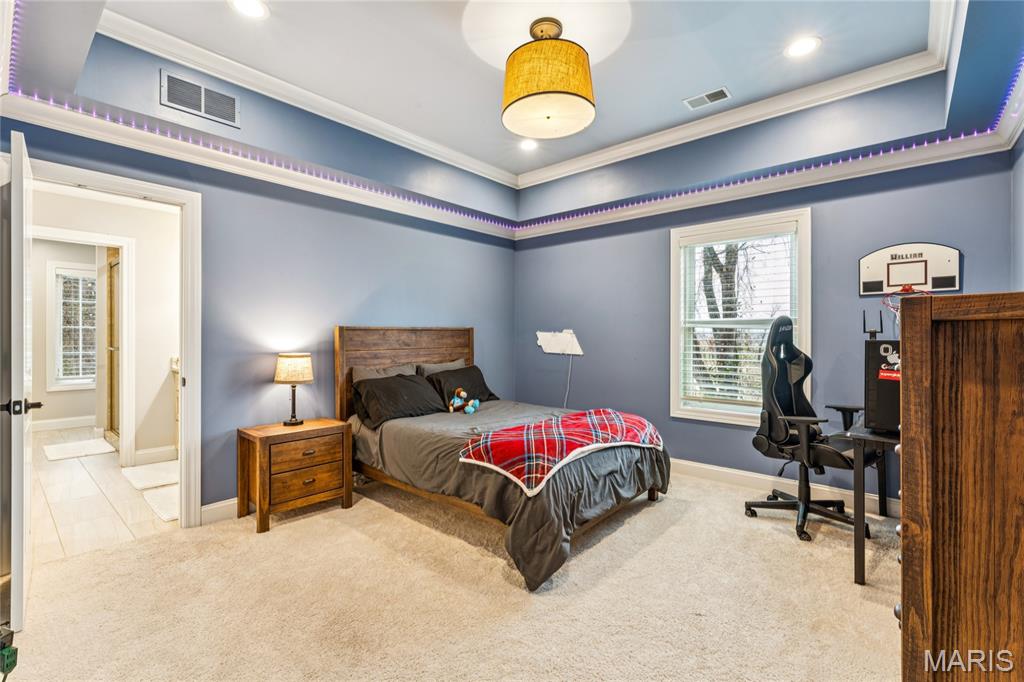 809 Tara Estates Court Chesterfield, MO 63005 - Photo 51 of 70