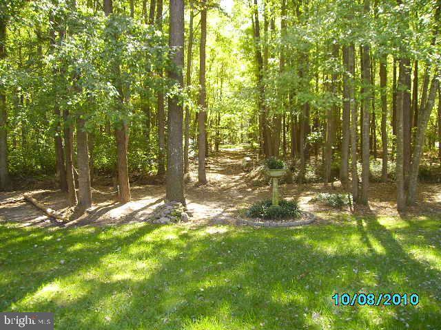 3779 5 Friars Road Salisbury, MD 21804 - Photo 3 of 7 Gallery Image 3