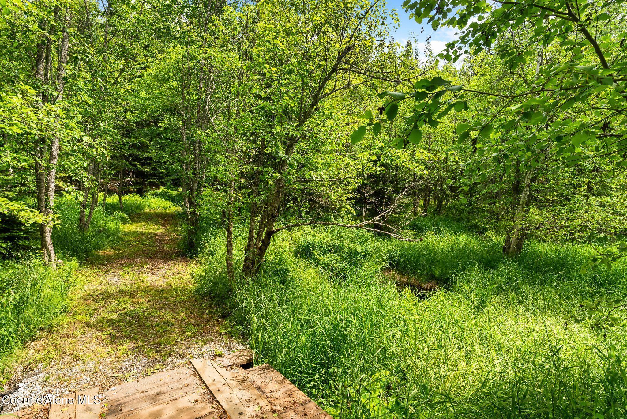 74 Eureka Road Sagle, ID 83860 - Photo 89 of 102 Trails
