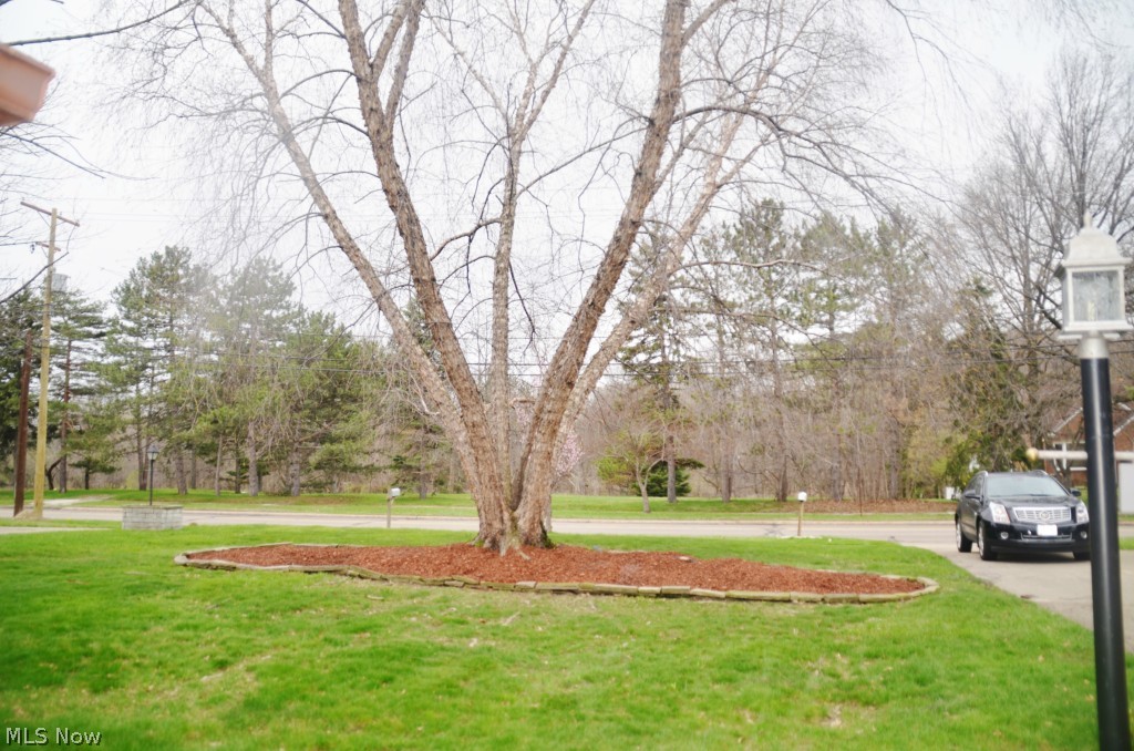 147 Brush Road Cleveland, OH 44143 - Photo 21 of 21 Gallery Image 21