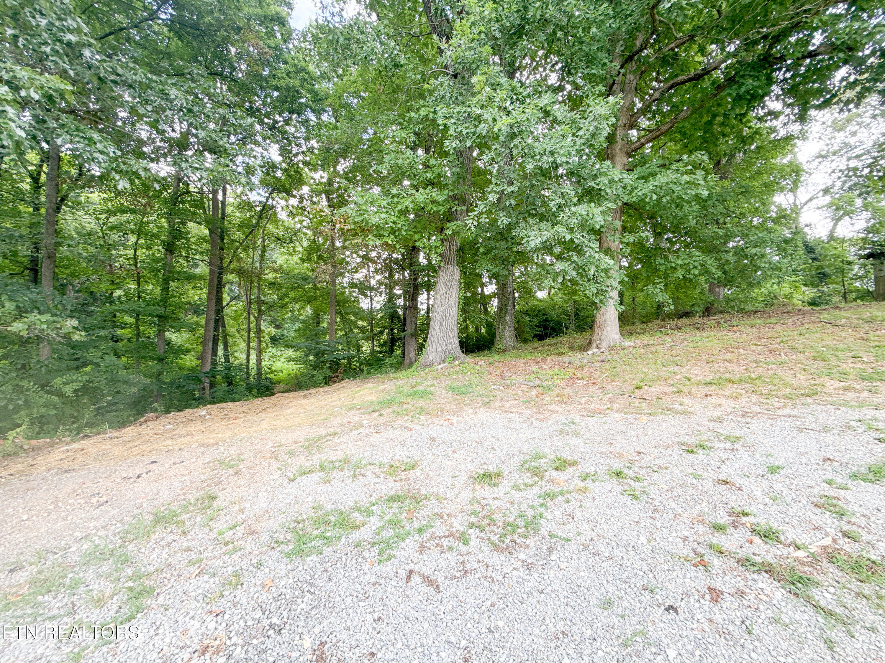 2518 Roseberry Road Mascot, TN 37806 - Photo 35 of 41 038-SMALL