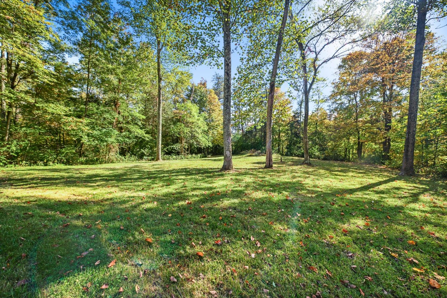 14336 Schwipps Road Milan, IN 47031 - Photo 15 of 16 Gallery Image 15