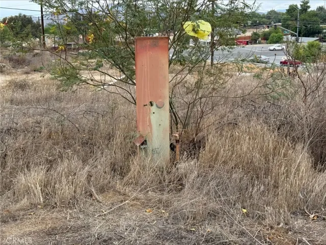 a view of a road from a yard