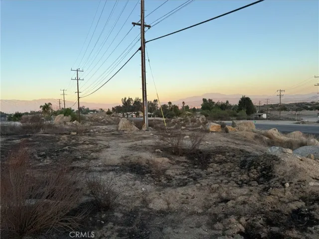 a view of a dry yard with trees
