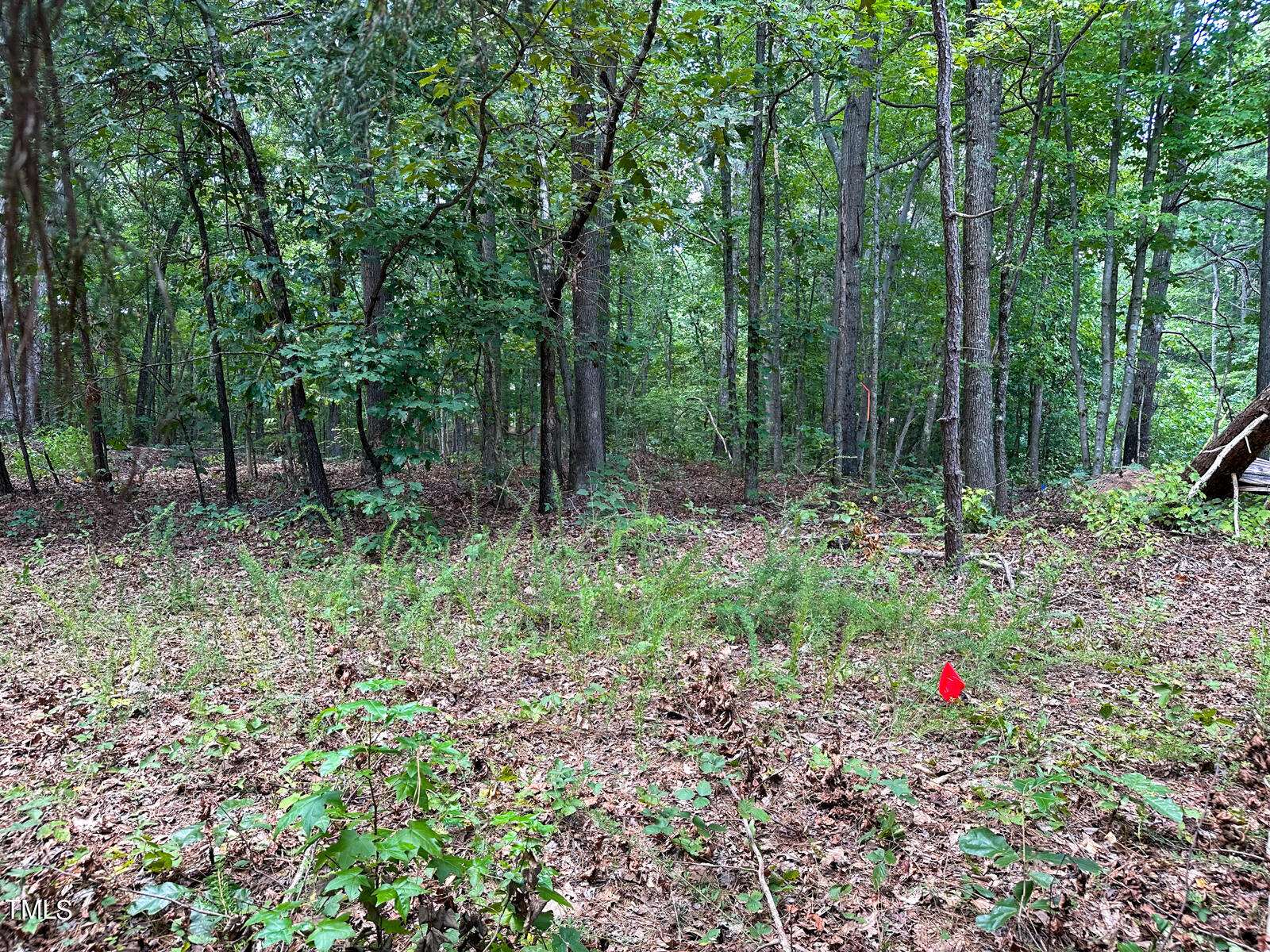 0 Sonny Dawes Road Semora, NC 27343 - Photo 14 of 19 13 (3)