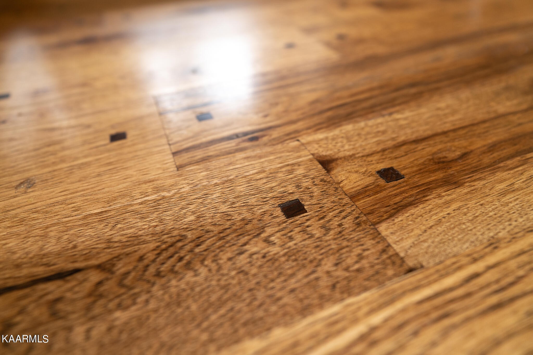 613 Dixon Road Lenoir City, TN 37772 - Photo 12 of 44 a view of beach