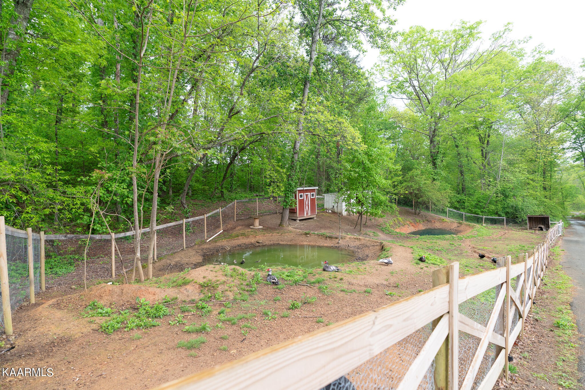 613 Dixon Road Lenoir City, TN 37772 - Photo 40 of 44 a view of a backyard with large trees