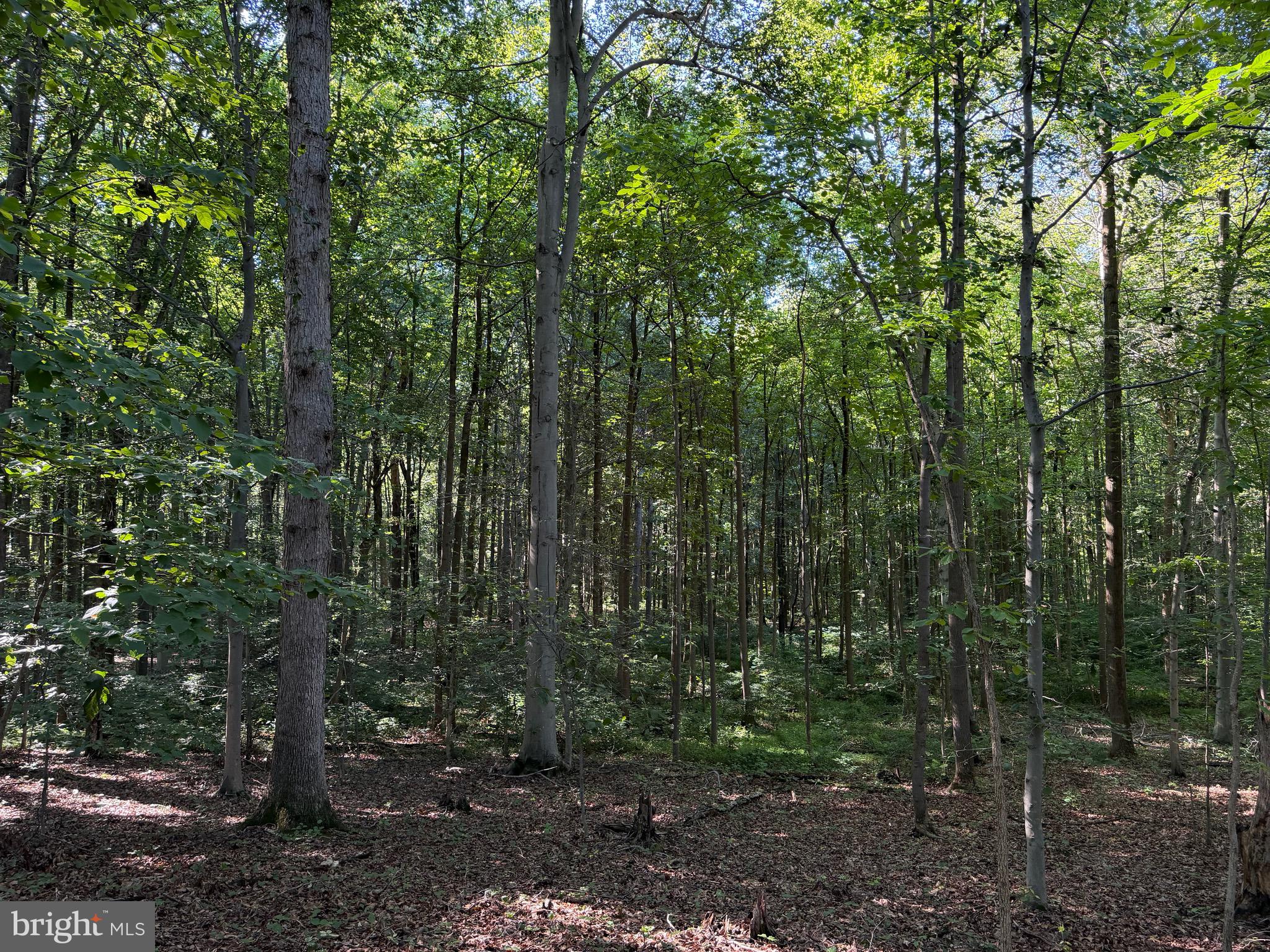 0 Rock Springs Road Conowingo, MD 21918 - Photo 71 of 79